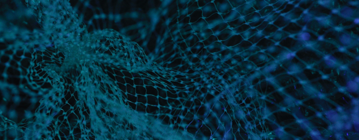 163° Mercoledì di Nexa – We need to talk about data work for machine learning